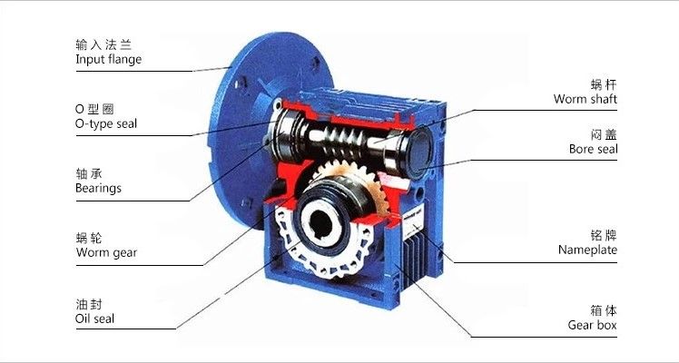 Worm Gear Reducer